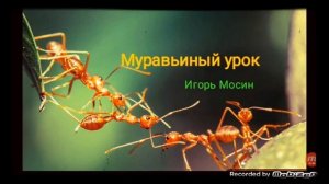 Муравьиный урок ?  рассказ ?  аудио ?  автор Игорь Мосин ☘