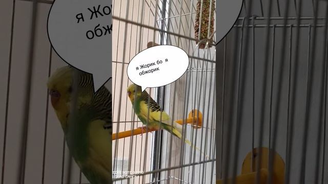 Узнайте, что оно содержит: Вам понравится смотреть онлайн