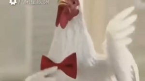 Танец курицы