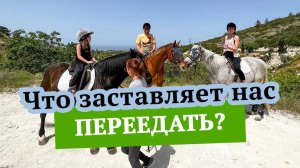 Что заставляет нас переедать?