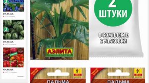 Пальма Вашингтония Семена комнатных растений