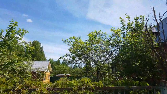 Воскресенки снт 1я садовая