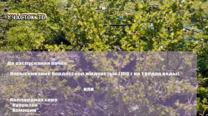 Весенняя Обработка Крыжовника от Вредителей и Болезней