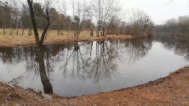 Матвеевкий залив. Труханов остров в Киев.