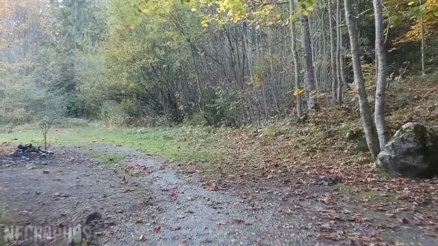 Страшные истории про деревню и нечисть - ДЕРЕВНЯ У MЁPTBOГO ЛЕСА #1 Ужасы Мистика Криповые Страшилк смотреть онлайн