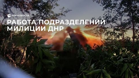 Артиллерийские и инженерные подразделения народной милиции ДНР