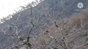 Справа горы слева горы а вдали Кавказ