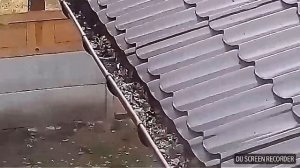 Почему не работает водосток? Даже современные водостоки нужно чистить! -Why does not the drain work