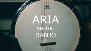 6 Струнное банджо ARIA SB-10G / Travis, Lazlo Bane, Queeen, Eddie Vedder