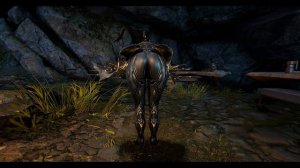 top 10 warframe asses