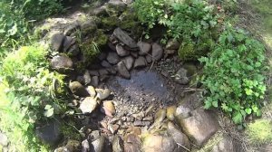 Телецкое озеро #3. Экскурсия к исчезающим источникам.