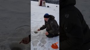 рыбалка на озере в томской области в декабре 2017