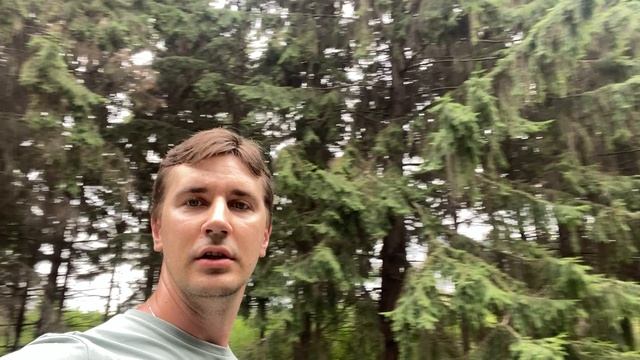Прогулка в парке, г. Ульяновск