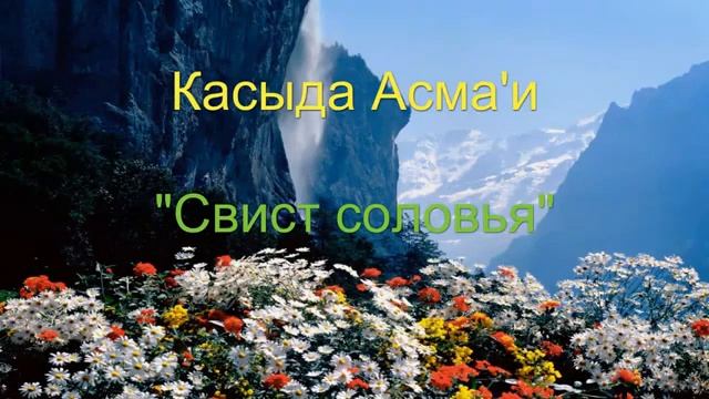 Очень красивый стих на арабском ?? смотреть онлайн