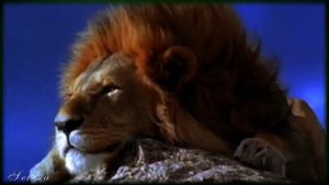 В мире животных  Ариэль Рамирес  'Жаворонок'