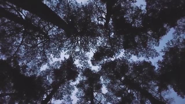 Лакшми. Поиск виноватого (деятеля)