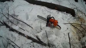 Мы в делянке 2№ продолжаем работать пилим валим,