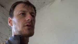 Гематома в области локтя у молодого жеребца.
