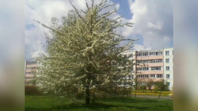 Город Орша в картинках часть вторая. смотреть онлайн