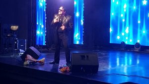 Владимир Ждамиров Чужие края.