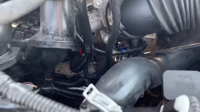 Где найти номер двигателя Ford Fiesta (Mk6) смотреть онлайн