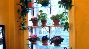 Оконные полки для цветов на окне, стеллаж, этажерка.