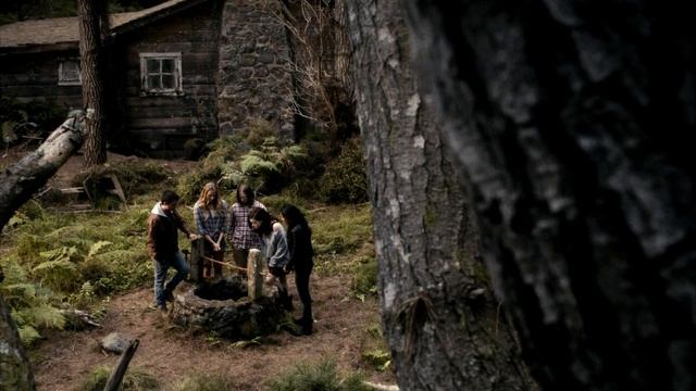 Мужчина увидел заброшенную хижину в лесу. Когда он вошел, то потерял дар речи! смотреть онлайн