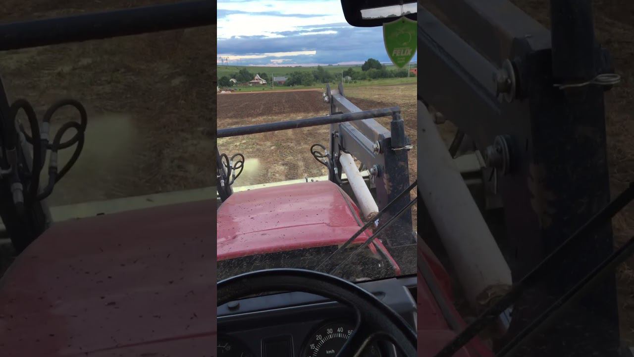 Внесение серы на плантации голубики перед посадкой. #подмосковье #планиация #ягоды смотреть онлайн