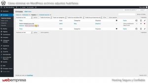 Cómo eliminar en WordPress archivos adjuntos huérfanos