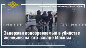 В Тамбовской области полицейские задержали подозреваемого в убийстве женщины на юго-западе Москвы