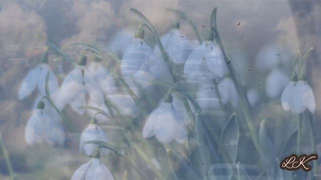 Сергей Орлов. Подснежники цветут смотреть онлайн
