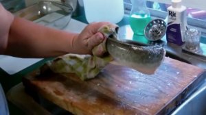 Рыба шевелится без головы и органов!!!1!1!!!!!!!!!!1!!!