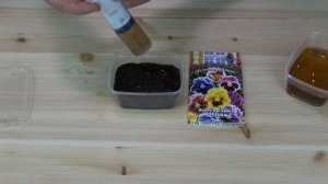 Как посеять ВИОЛУ / АНЮТИНЫ ГЛАЗКИ / САМЫЙ ЛУЧШИЙ СПОСОБ