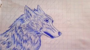 Мои рисунки ручкой 💝