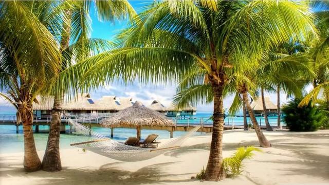 Чего ты хочешь на самом деле? смотреть онлайн