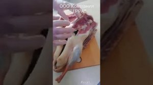 Вяленый гусь! как хранить