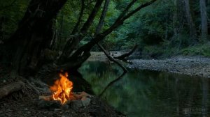 Как смягчить воду для полива комнатных растений?
