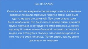 Сон: Огромная чёрная змея (05.12.2022)