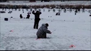 Запуск и поимки в полях! Клевое место, д. Савельево