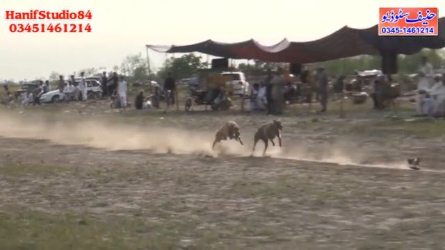 21 Mar 2023 round 3 Gurna Sial More track race смотреть онлайн