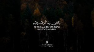 Коран Сура 5 «Трапеза», аяты 80-82. Чтец: Арби аш-Шишани