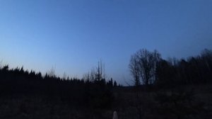 Манок на Вальдшнепа. Обзор манка Чемпион. Как манить вальдшнепа.