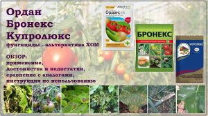 Ордан, Бронекс, Купролюкс - альтернатива ХОМ и Абига-Пик. Обзор фунгицидов