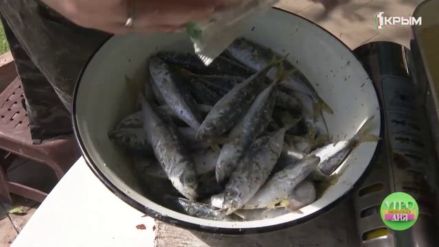 Какую рыбу можно поймать в Керченском проливе и какие блюда из неё можно приготовить.mp4