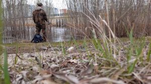 рыбалка в Сургуте, #рыбалка/в/черте/города/#Сургут2021май