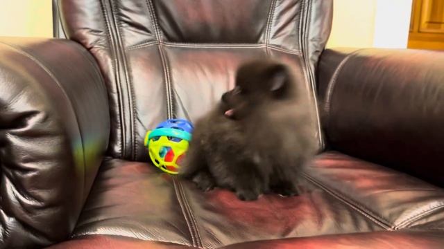 Черная Девочка пом смотреть онлайн