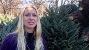 Рождество в США, Традиции празднования, Рождество в Америке