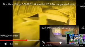 19 мишка гумибер прмера