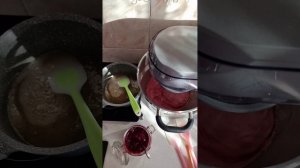 Клюквенный зефир с йогуртом