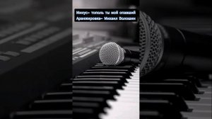 Минус- Тополь ты мой опавший. Аранжировка- Волошин Михаил